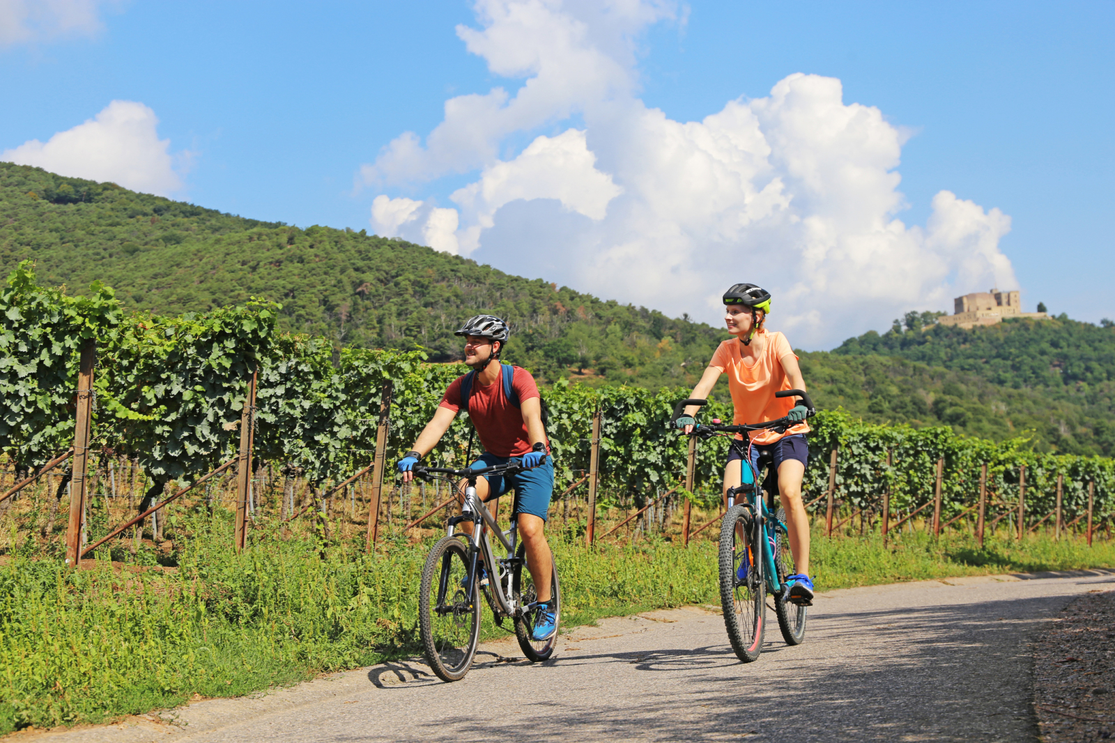 Exploring Wine Countries with People Like Us: A Journey Through Harvest Time