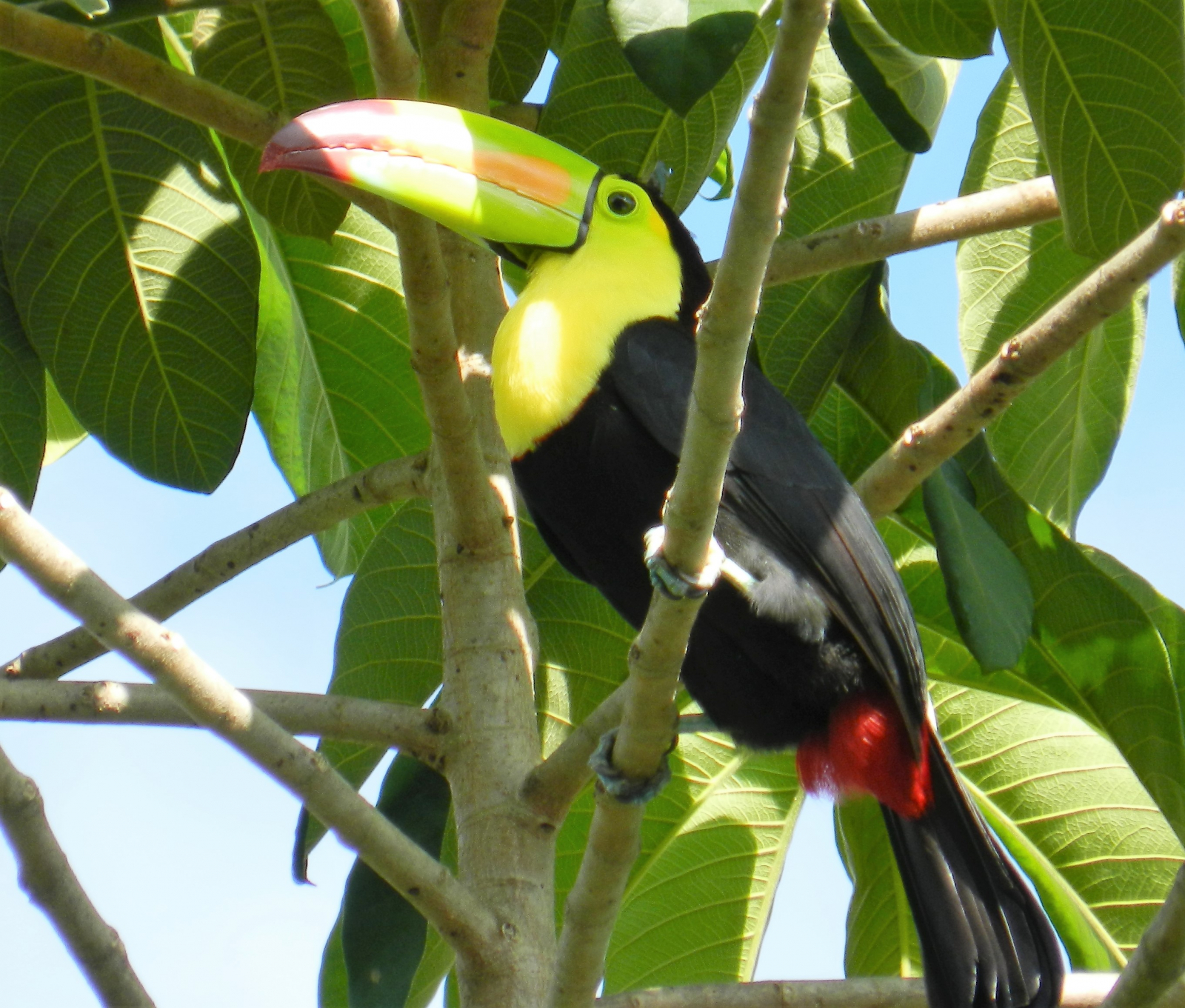 One Little-known reason to visit beautiful Belize