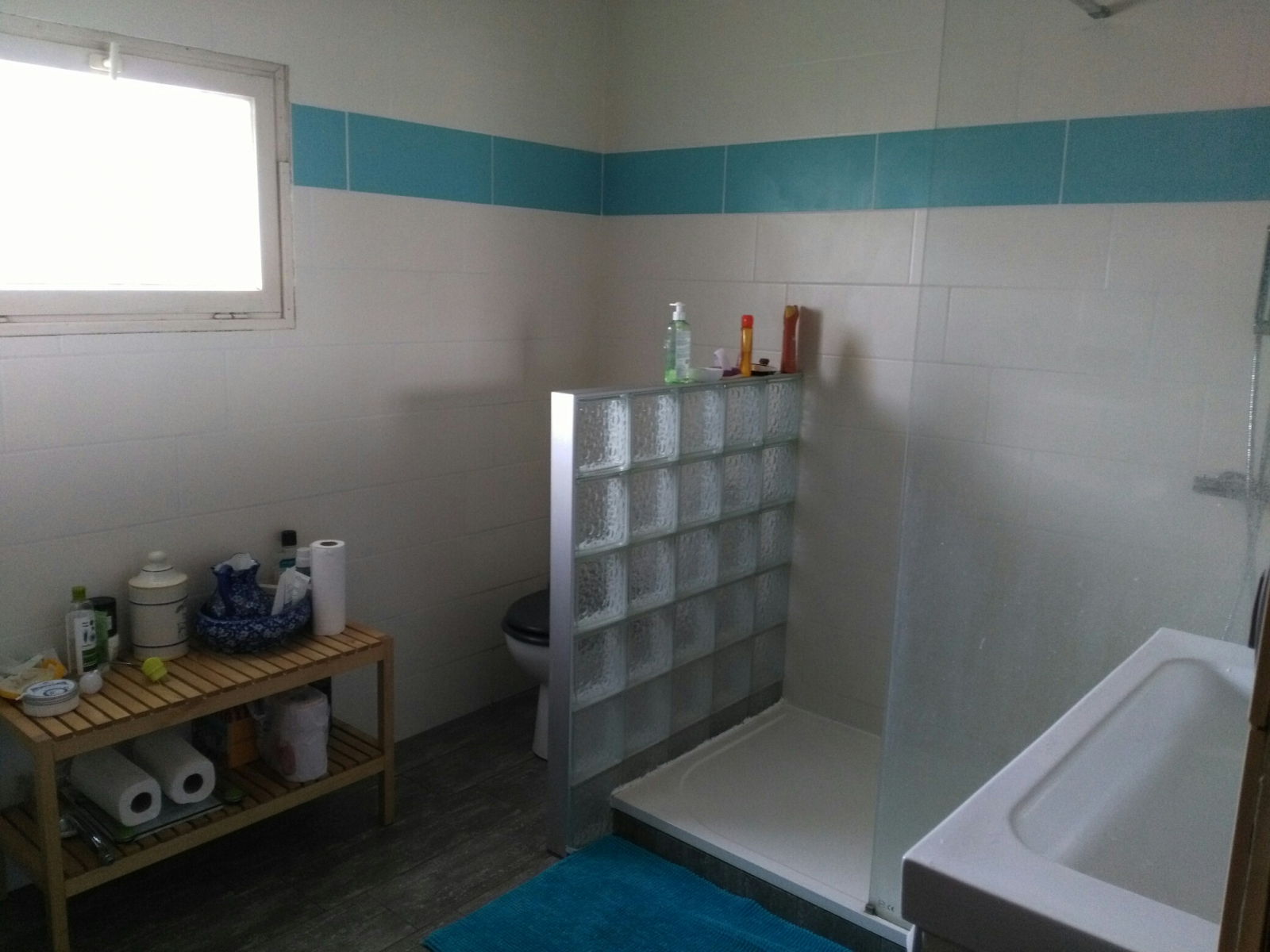 Upstairs bathroom with toilet