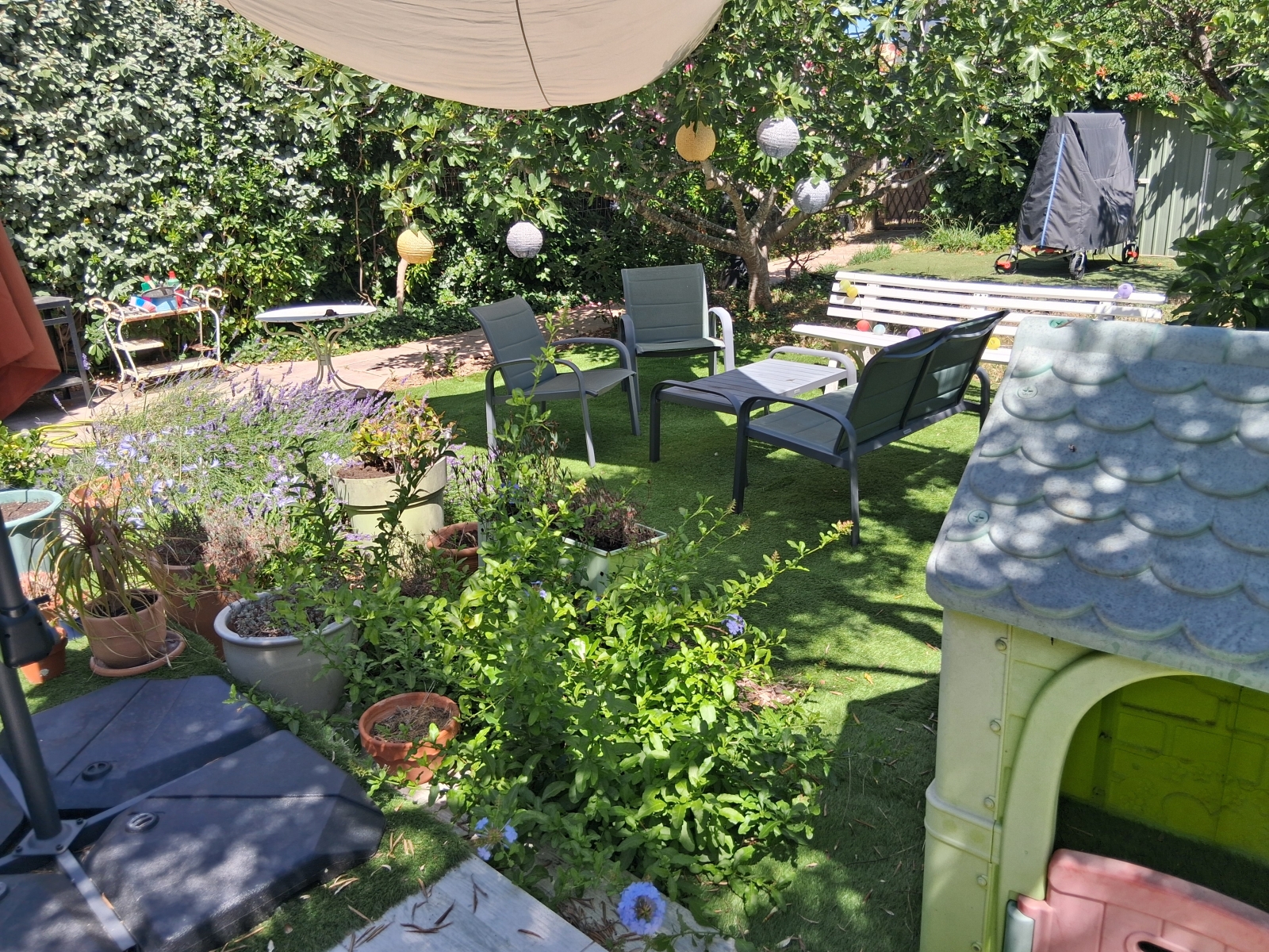 Quiet garden at the back of the house