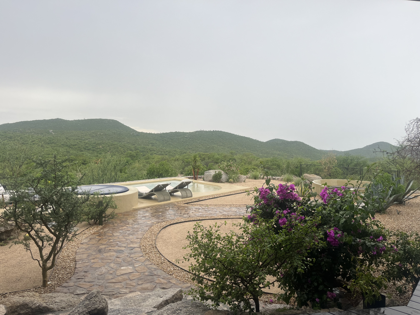 Patio and Landscape