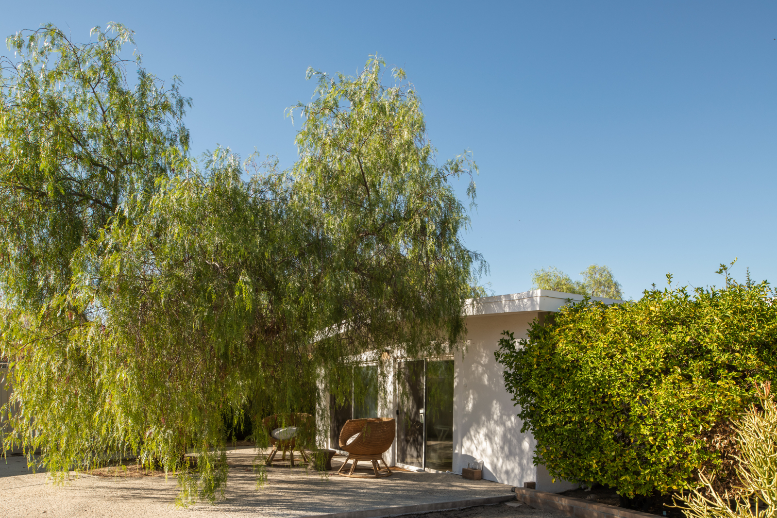 Joshua Tree Pool House: 360 view, pool+spa, on 2.5 acres