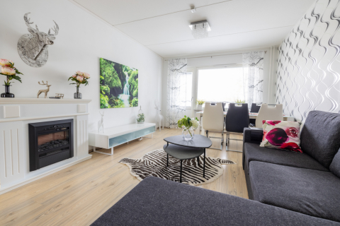 1 bedroom apartment near fast train to Helsinki airport and Helsinki City Centre