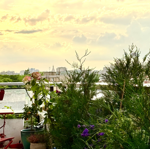 Paris, France w/ balcony & views!