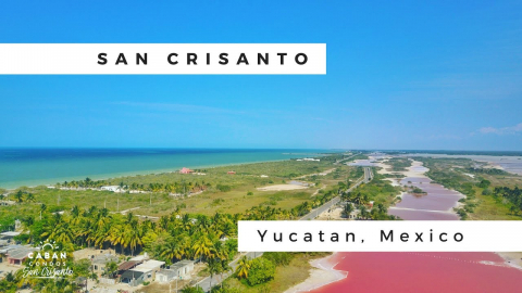 Beautiful Yucatan Beach house, steps to beach. Peace and tranquility, Cenotes, Merida