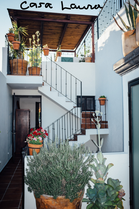 Casas Artisticas in the Historic Centro