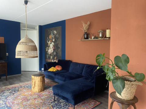 House full of light and life, 10 minutes from Amsterdam central