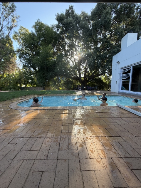 Big family home