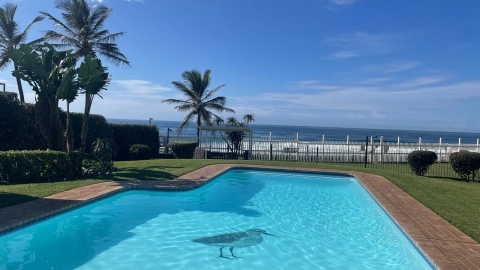 Beachfront Bliss on the Dolphin Coast