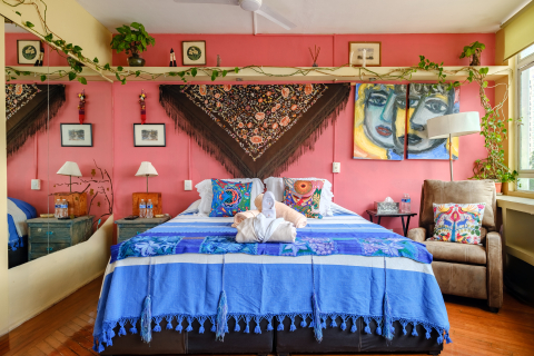 Beautiful private Suites in SHARED amazing Mexican Soul apartment in Polanquito facing Lincoln Park