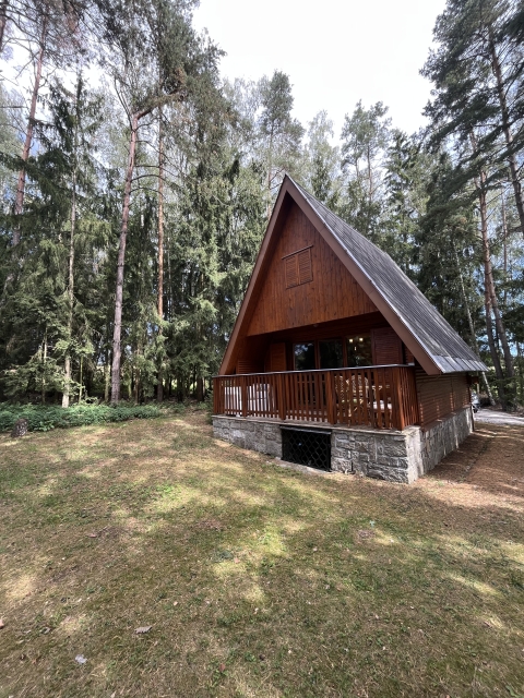 Wood cabin in the forest area