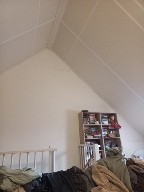 Amsterdam's house, exchange for 1 year