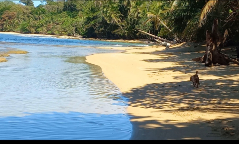 Paradise