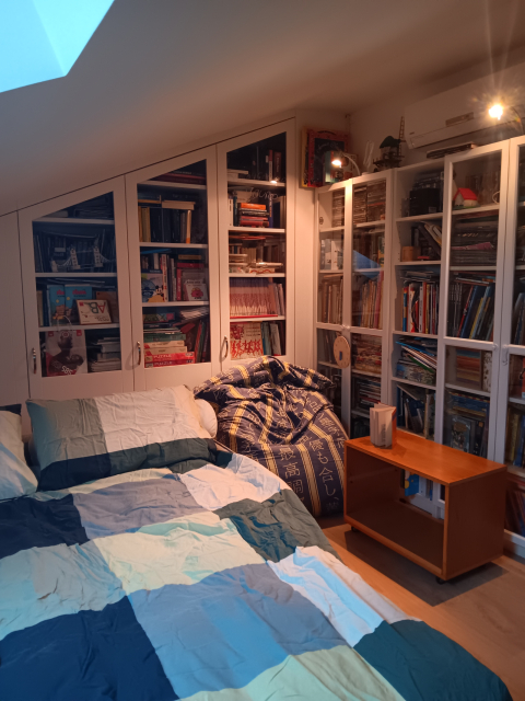 Attic Room with private bathroom