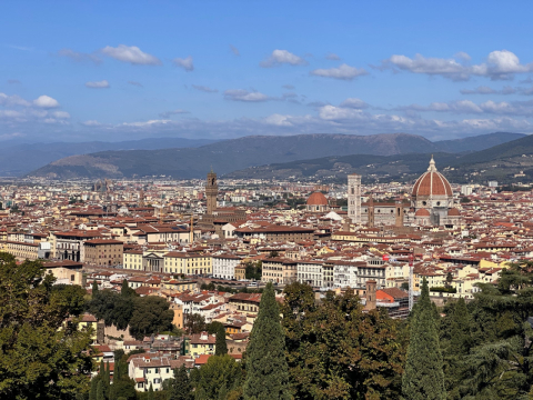 Florence, Italy. Townhouse with roof terrace. A/C throughout the house.   Available for exchange during Italian school holidays (Christmas, Easter and summer July/August 2027)
