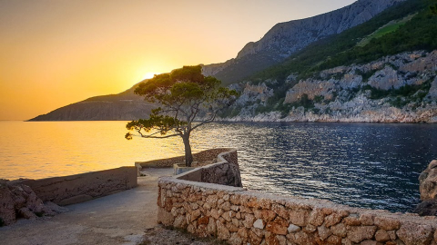 Hi dear people,my name is Ileana,usually I travel with my husband, friend or alone.We have children,and dog,poodle. We  are in a small place,Sveta Nedjelja,by the sea,the sea and air is crystal clear,Sv.Ned. have beautiful vineyards, and, of course,wine.