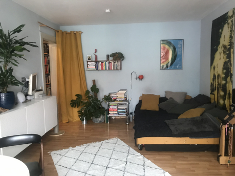 Nice city flat in Kreuzberg for catfriendly people <3