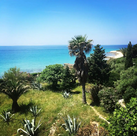 Beachfront apartment with large sunny terrace.