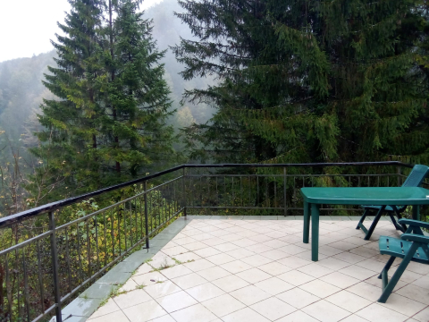 Cozy secluded mountain house surrounded by trees.