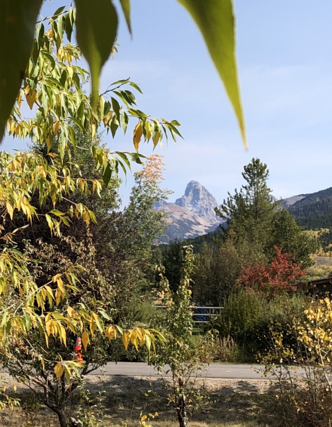 Looking for European swap for our Teton Home July/August 2026