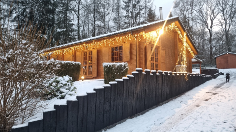 Typical wooden cosy house