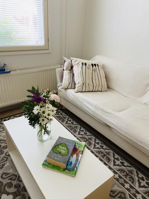 Cozy Apartment 2br, very center, amazing view and sauna