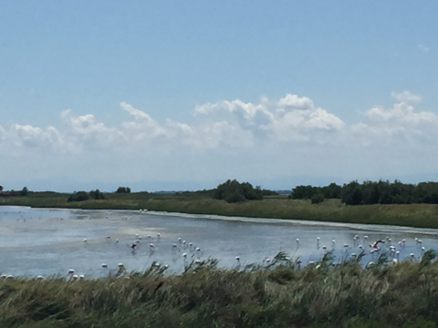 Lido di Spina, Ferrara. Charming Summer holidays little home on the Adriatic Riviera