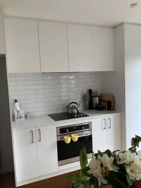 Peaceful family friendly home in Christchurch