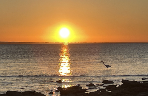 Exchange a Globe. From Sunshine Coast to Coolangatta..