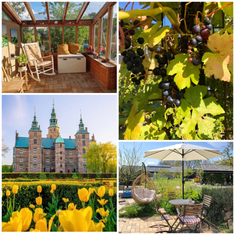 Fairytales and cherry trees in Denmark