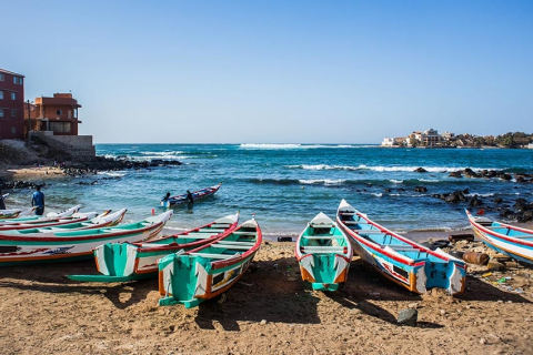 Garden oasis in Dakar, Senegal