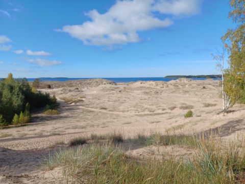 Apartment 15 min by foot from Yyteri 6km stretch of beach!