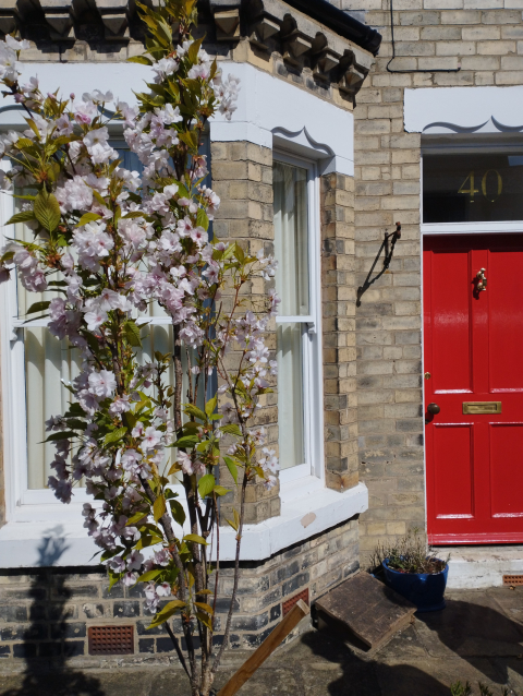 Traditional Victorian terrace 10 minute walk from the city walls