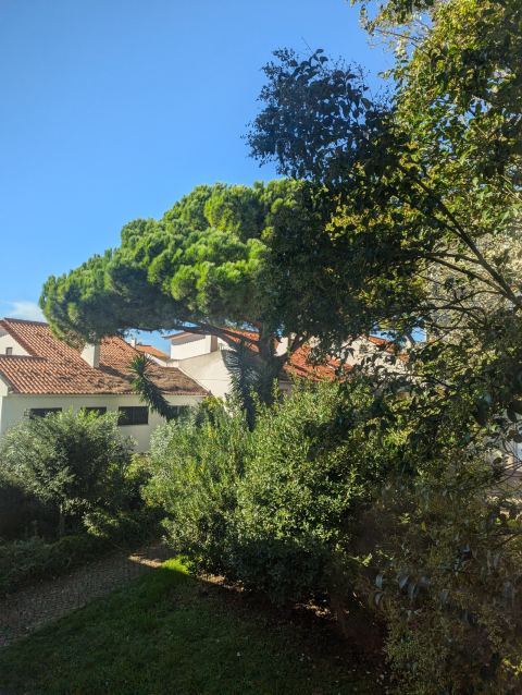 Peaceful Flat Near Beach + Lisbon!