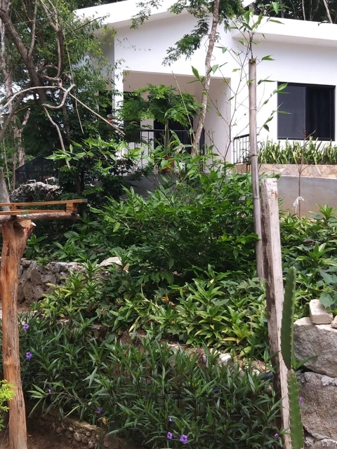 Eco-Casita in the Oaxacan Mexican Jungle