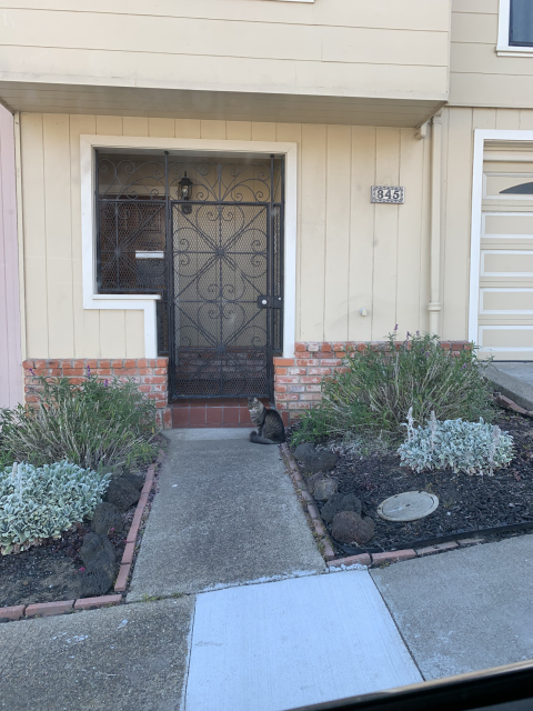 Bay views and quiet living in the Garden District of San Francisco