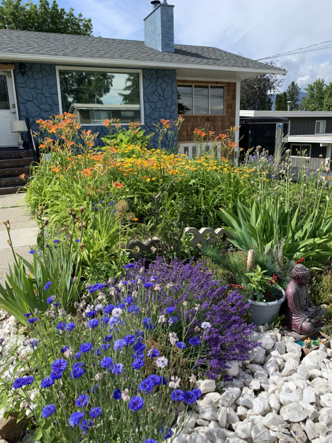 Stay, Play & Relax: Cozy Comforts and Outdoor Adventures