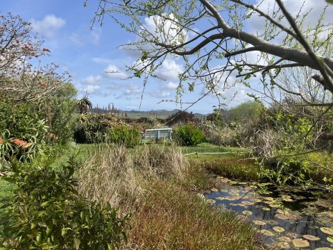 Foxy House - Lush garden cottage in artist's village