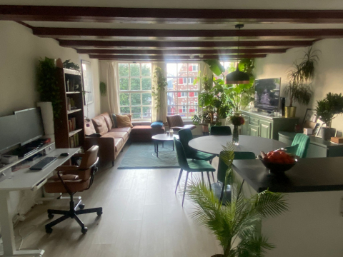 Romantic Amsterdam apartment with canal view