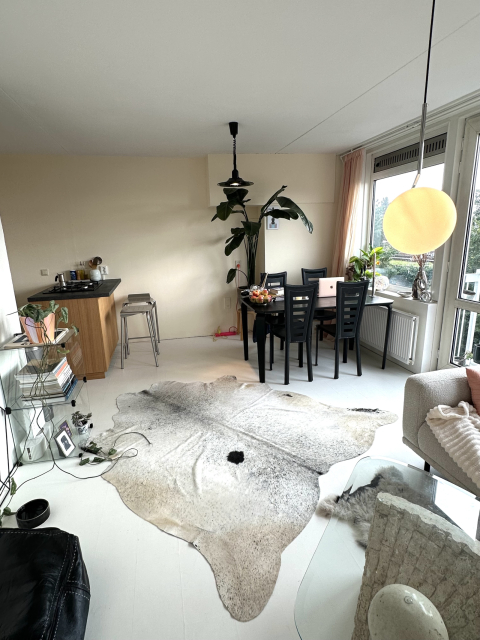Light cozy apartment close to everything!