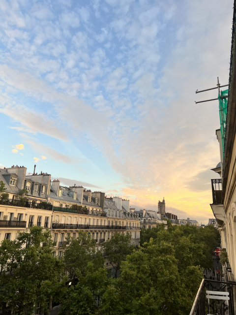 1br apartment in the city center of Paris