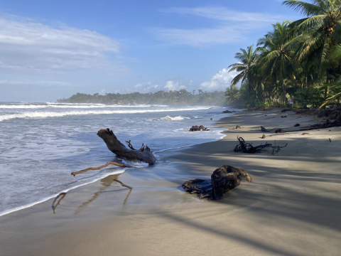 Casa Caleta Off Grid Caribbean Paradise.  Accepting globes or plutos