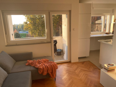 Cosy apartment in Zagreb