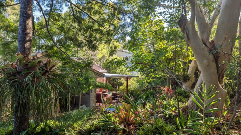 Cool house, lush native  garden, surrounded by National  Park and walk to beach.