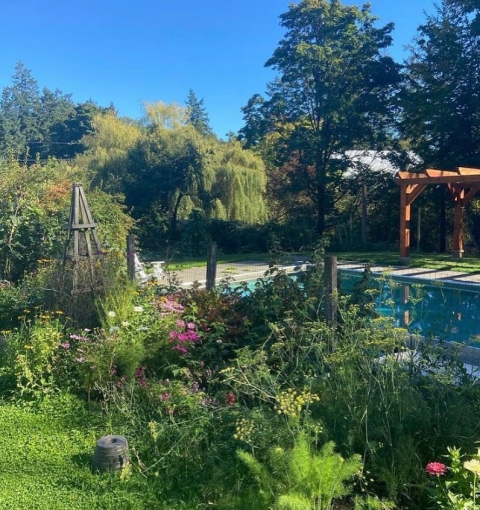 Tod Creek Farm