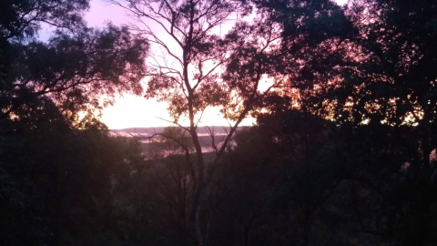Glenbrook, Blue Mountains, near Sydney