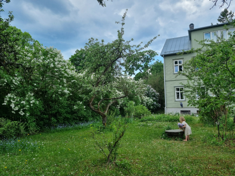 Cozy and quiet apartment with a green garden in central Tallinn