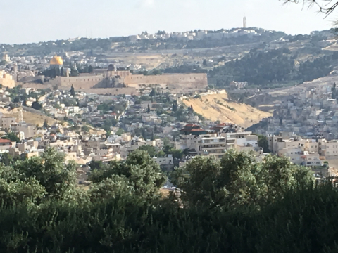 Nur wenige Schritte entfernt von einer 'einzigartigen' Sicht auf die Altstadt Jerusalem!!