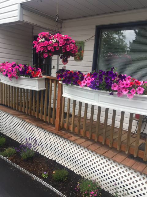 Comfy home in Victoria, BC, Canada’s City of Gardens