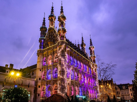 Rooftop loft-style studio in medieval Leuven (20' to Brussels, 1h25 to Bruges)